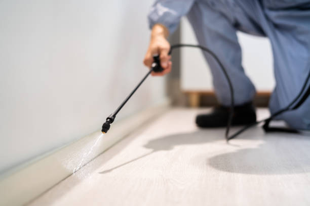 Best Commercial Pest Control  in Bettendorf, IA